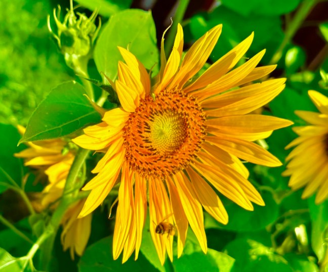 C9E67B09-9F14-4051-AA7F-090F31FE1205_1_105_c