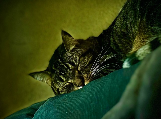 0558BF9E-CB6F-4349-A3B3-F3EC5598154A_1_105_c