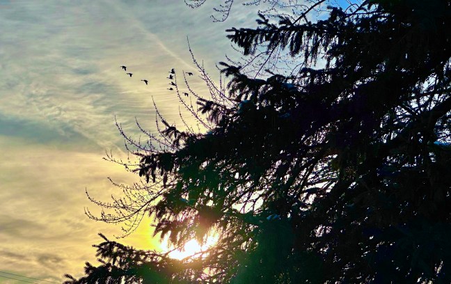 983A8467-7B4E-4578-AA1E-B8831970FBE4