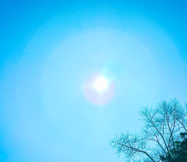 9E11A5FC-B01D-4C57-A683-B86C9FDB18D7