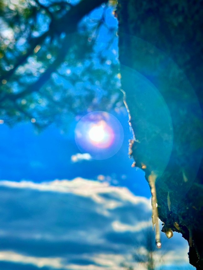 DB0B3574-0D9B-4CB0-BA3B-0155972235EA_1_105_c