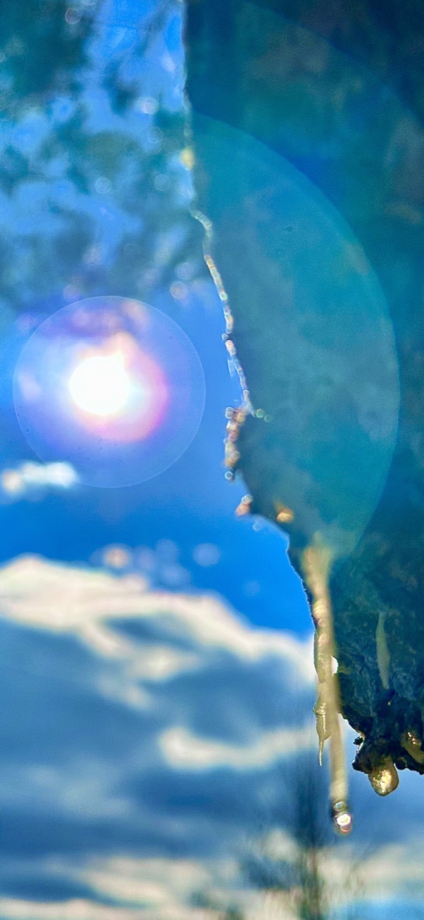 EC92A21D-B6A2-4C3C-B9C7-D1732A3FDAD2_1_105_c