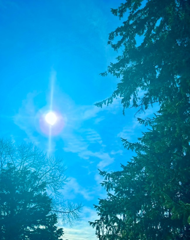 1B54ABBC-AFE2-4FBE-BFB9-A9442605B2DF_1_105_c