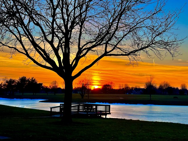 AEF6DDAD-6C77-4933-9833-4C7F70640872_1_201_a